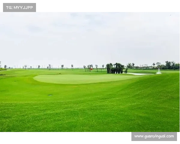 高尔夫社交圈:探索绿色球场上的友谊与商业机会 高尔夫社交圈:探索绿色球场上的友谊与商业机会